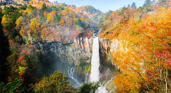 <新宿発・西船橋発> 錦秋日光紅葉日帰り観光ツアー | 世界遺産社寺・華厳滝・イリュウ坂・くりこ御飯ランチ