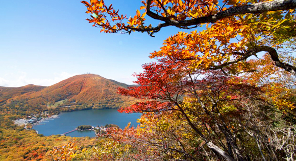 ＜新宿発・西船橋発＞ 日本百名山・錦秋の赤城山　湖上に広がる絶景の紅葉 と 小尾瀬と呼ばれる高層湿原・覚満淵の木道トレッキング　～群馬名物！「特製・まいたけ弁当」付き～