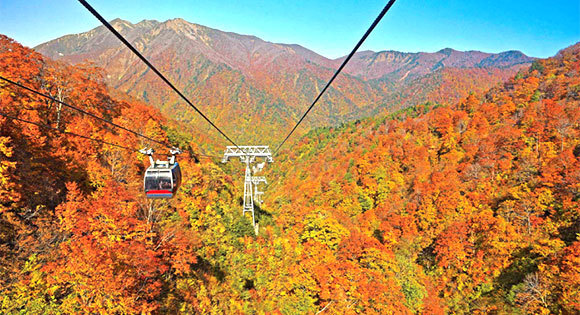 ＜新宿発・西船橋発＞ 紅葉の大パノラマ！谷川岳ヨッホ　絶景ロープウェイ＆リフトで行く空中散歩♪　～群馬名物！「特製・まいたけ弁当」の昼食付き～