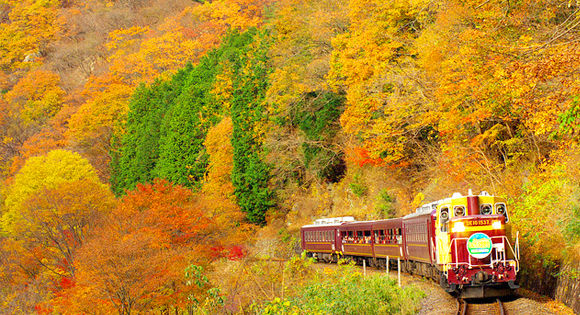 ＜新宿発・西船橋発＞ 紅葉のわたらせ渓谷鉄道・トロッコ列車 と 関東の耶馬渓と称される！錦秋の高津戸峡　～風味抜群！やまと豚弁当の昼食付き～