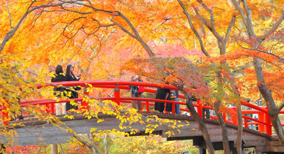 ＜新宿発・西船橋発＞ 紅に染まる伊香保温泉　絶景！紅葉の河鹿橋 と 情緒あふれる石段街　