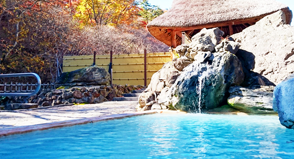 ＜新宿発・西船橋発＞ 【いい風呂の日】 極上の源泉100％かけ流し、青白濁の秘湯・高湯温泉！「旅館 玉子湯」たっぷり滞在19時間 と 晩秋の会津西街道・大内宿と鶴ヶ城　２日間 