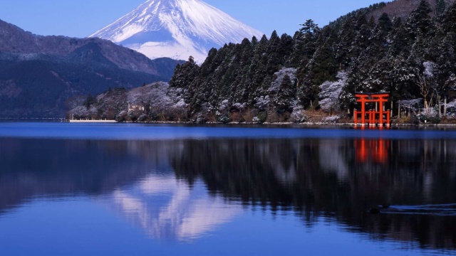 東阪6日間ツアー
