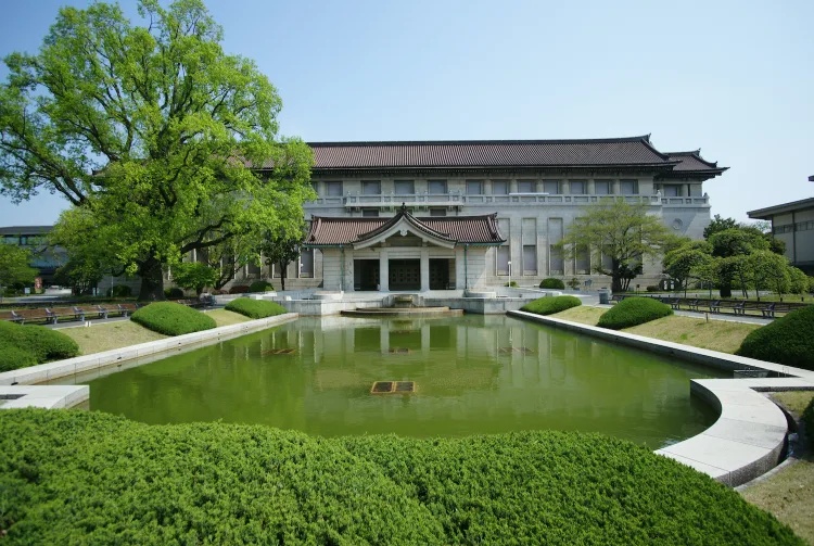 上野恩賜公園不僅是東京市中心的綠洲，更是歷史與文化的聚集地，這座公園建於 1873 年，擁有廣闊的綠地與湖泊。