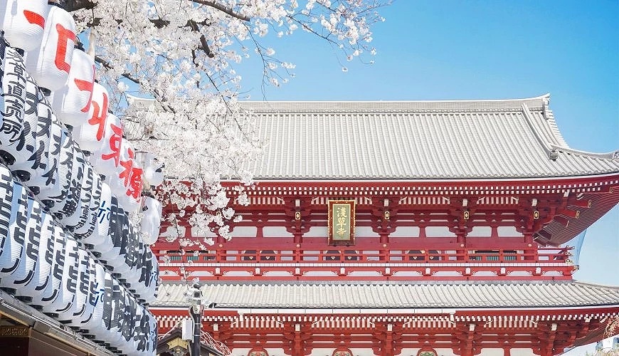 浅草寺与樱花
